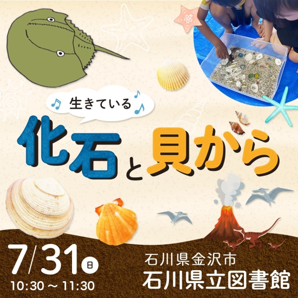 生きている化石と貝がら 生きている化石と貝がら