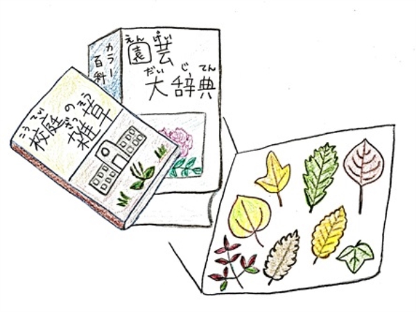 植物図鑑をつくろう2023 植物図鑑をつくろう2023