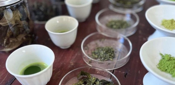 抹茶を深堀りする 抹茶を深堀りする