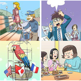 英語カルタ 英語カルタ画像