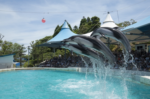【企画展】のとじま水族館いきものトーク のとじま水族館いきものトーク
