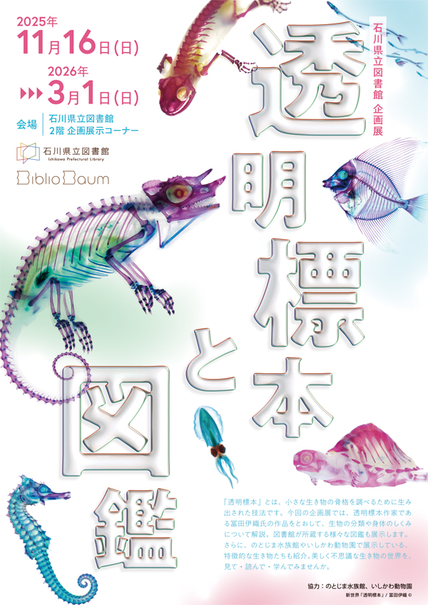 標本展_チラシ_オモテ面 企画展「透明標本と図鑑」チラシ表面