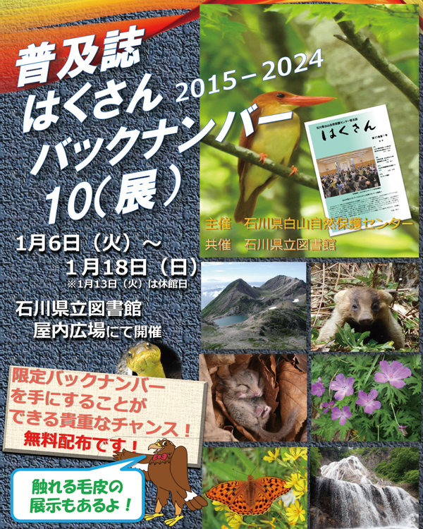 バックナンバー展