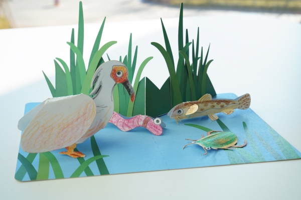 ペーパークラフトで里山里海の生き物をつくろう