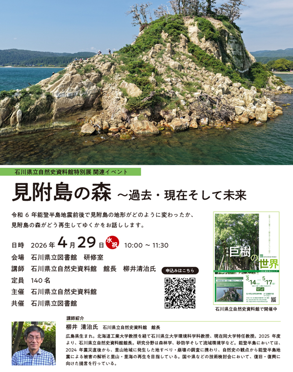 20260429_見附島の森