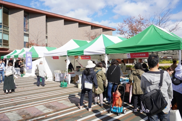 20251101-DSC03875