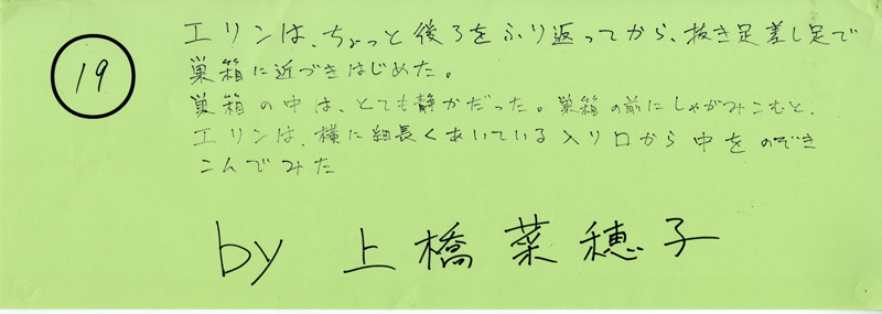 104pまつり抜書き19 104pまつり抜書き19 エリンはちょっと後ろを振り返ってから、抜き足、差し足で巣箱に近づきはじめた。巣箱の中は、とても静かだった。巣箱の前にしゃがみこむと、エリンは、横に細長くあいている入り口から中をのぞきこんでみた