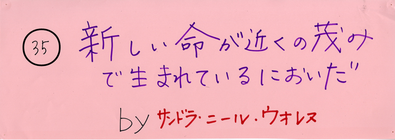 104pまつり抜書き35 新しい命が近くの茂みで生まれているにおいだ